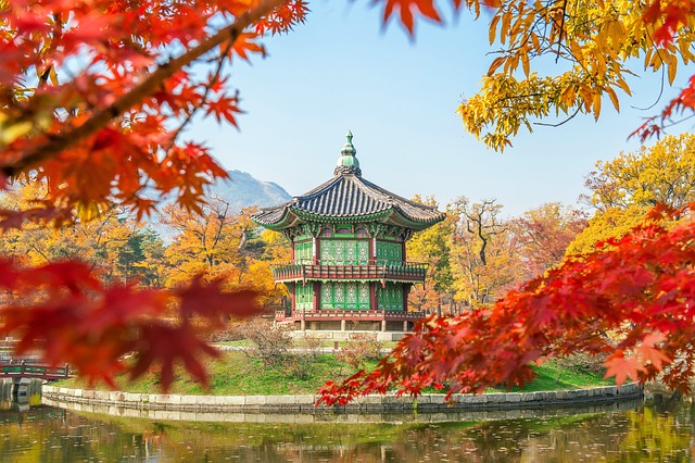 Autumn Scenery in Korea