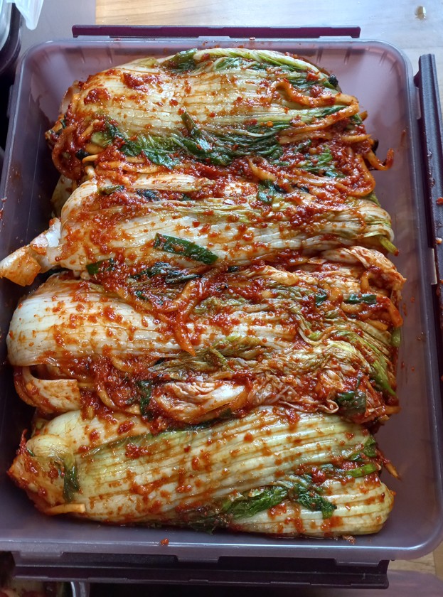 Korean kimchi